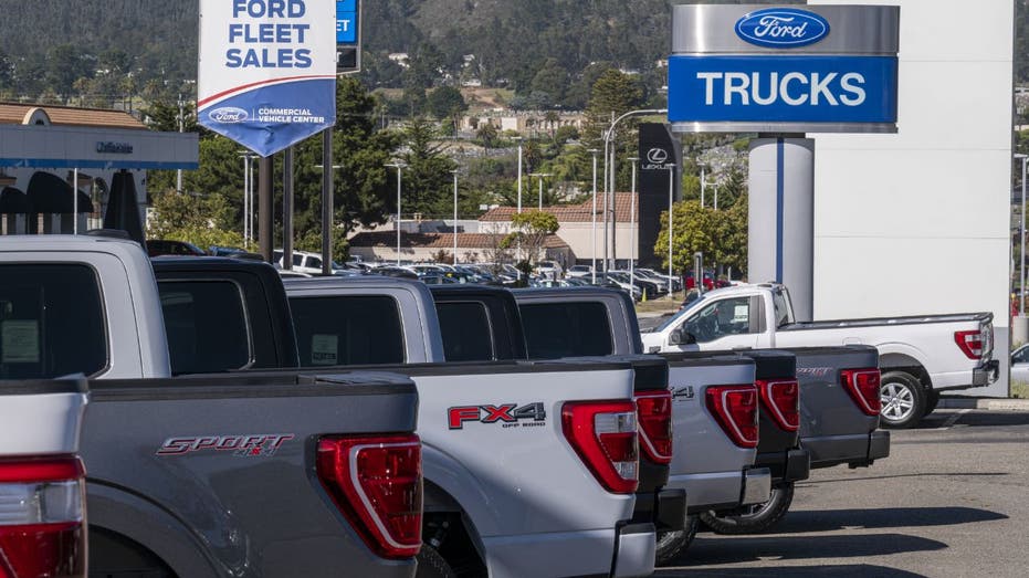 Ford trucks lined up on dealer lot